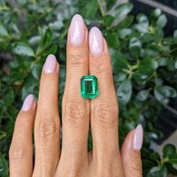 7.65 Ct. Emerald from Zambia Life Style