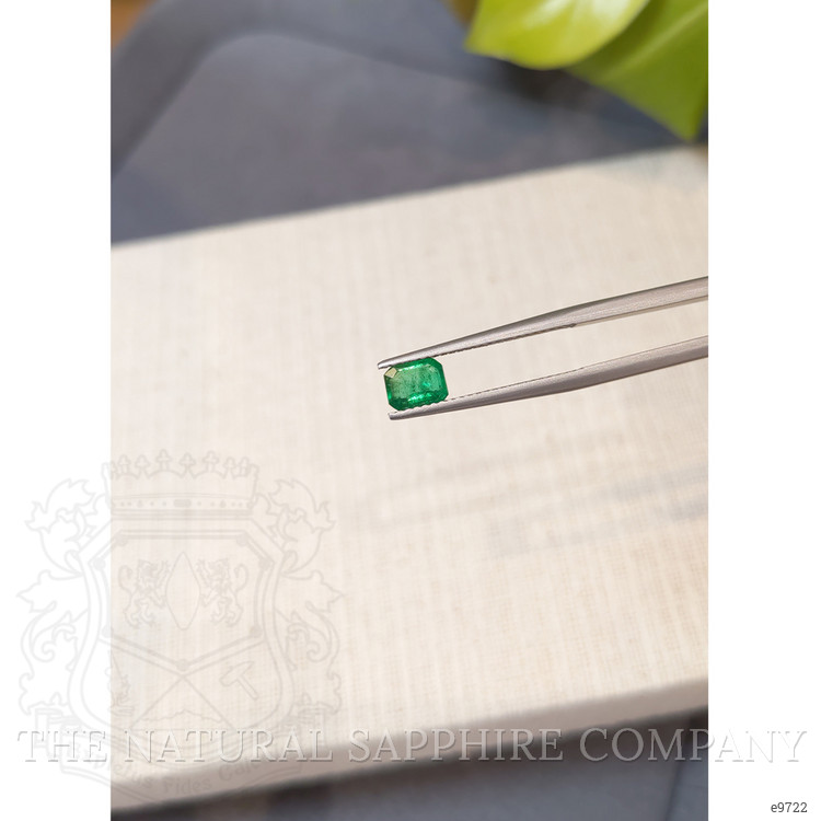 0.75 Ct. Emerald from Colombia