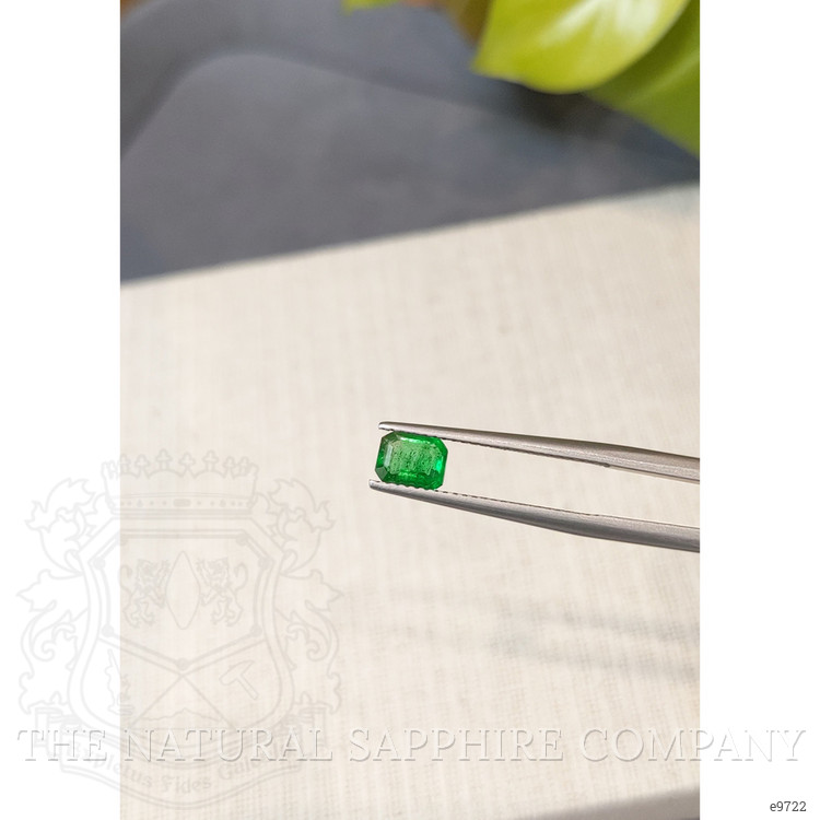 0.75 Ct. Emerald from Colombia