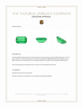 0.42 Ct. Emerald from Afghanistan Appraisal