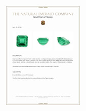 4.51 Ct. Emerald from Zambia Appraisal