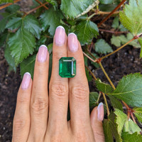 16.67 Ct. Emerald from Zambia Life Style