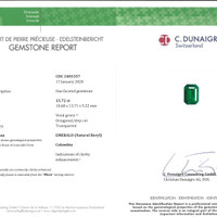 15.72 Ct. Emerald from Colombia - Muzo Pdf
