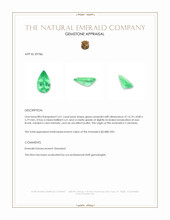 3.61 Ct. Emerald from Colombia Appraisal