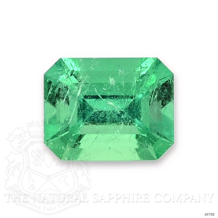 0.93 Ct. Emerald from Colombia