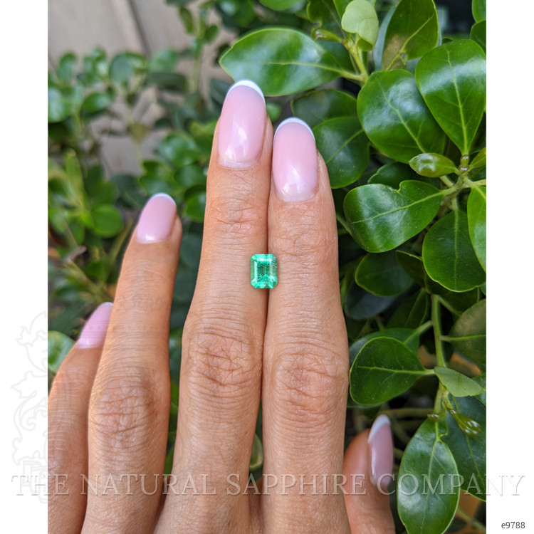 0.93 Ct. Emerald from Colombia