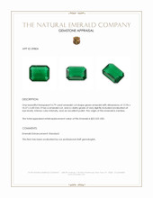 4.79 Ct. Emerald from Zambia Appraisal