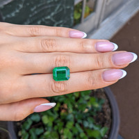 8.31 Ct. Emerald from Zambia Life Style
