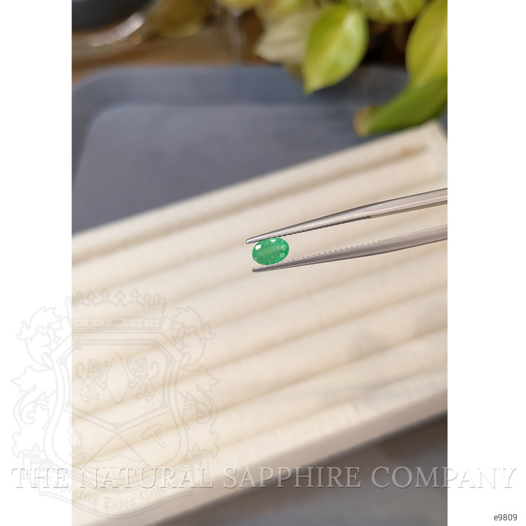 0.55 Ct. Emerald from Zambia