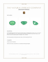 0.50 Ct. Emerald from Zambia Appraisal