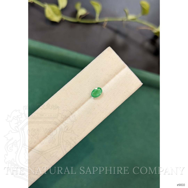 0.50 Ct. Emerald from Zambia