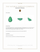 0.67 Ct. Emerald from Zambia Appraisal