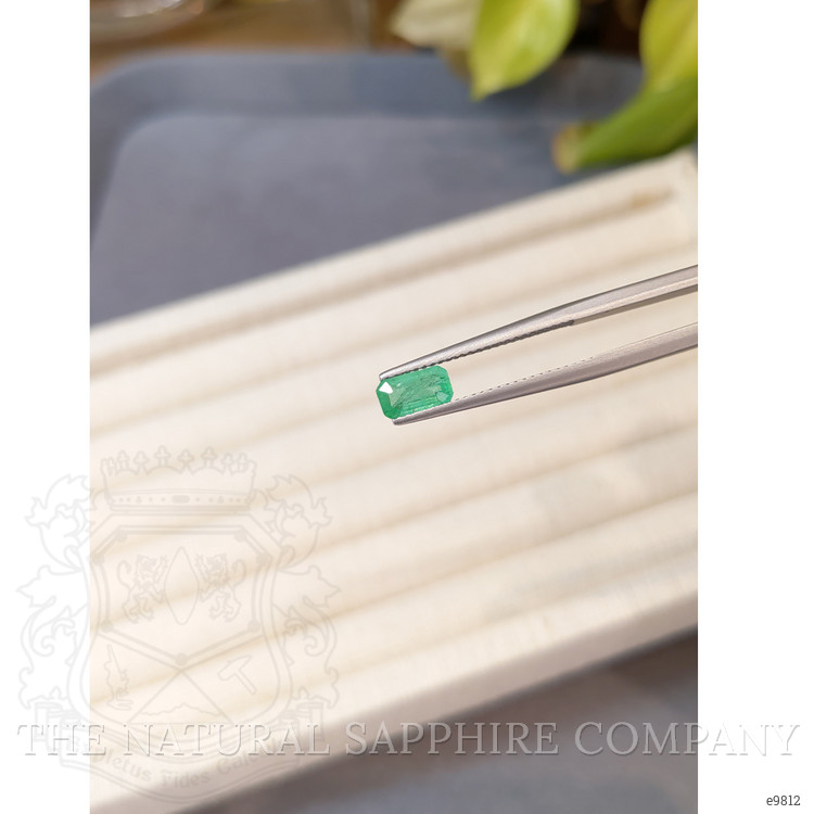 0.62 Ct. Emerald from Zambia