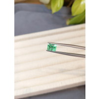 1.38 Ct. Emerald from Colombia Life Style