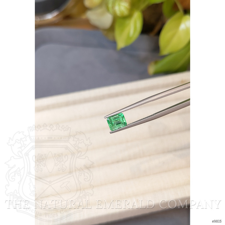1.38 Ct. Emerald from Colombia