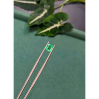 1.15 Ct. Emerald from Colombia Life Style