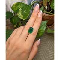 9.93 Ct. Emerald from Zambia Life Style