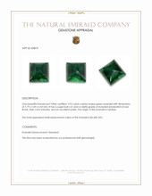 2.92 Ct. Cabochon Emerald from Zambia Appraisal