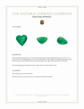 1.37 Ct. Emerald from Colombia Appraisal