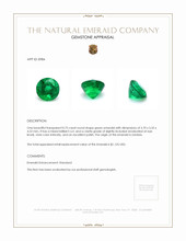 0.75 Ct. Emerald from Zambia Appraisal