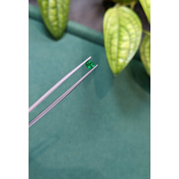 0.31 Ct. Emerald from Russia Life Style