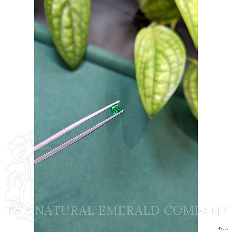 0.34 Ct. Emerald from Russia
