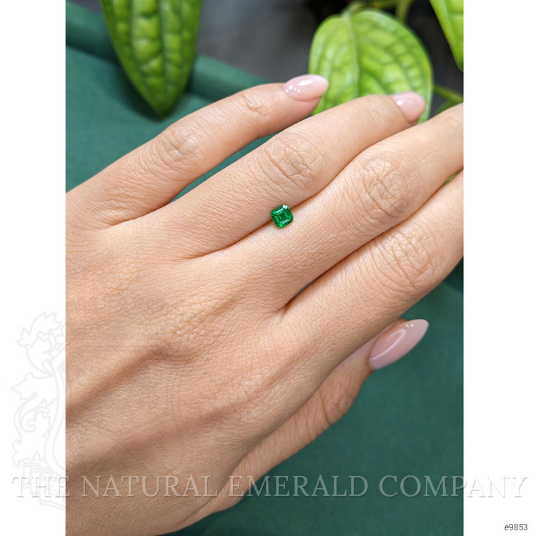 0.34 Ct. Emerald from Russia