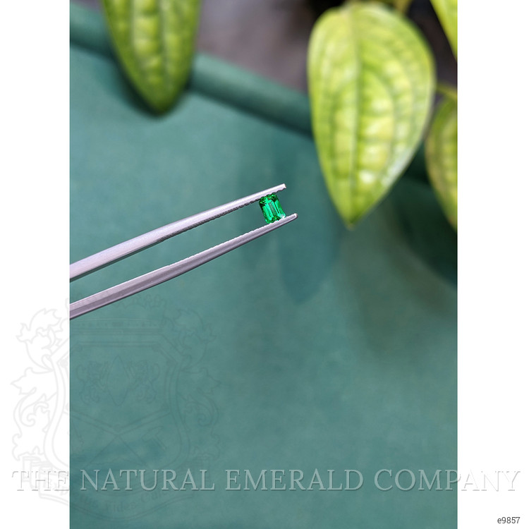 0.21 Ct. Emerald from Russia