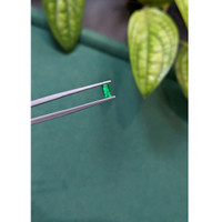 0.31 Ct. Emerald from Russia Life Style