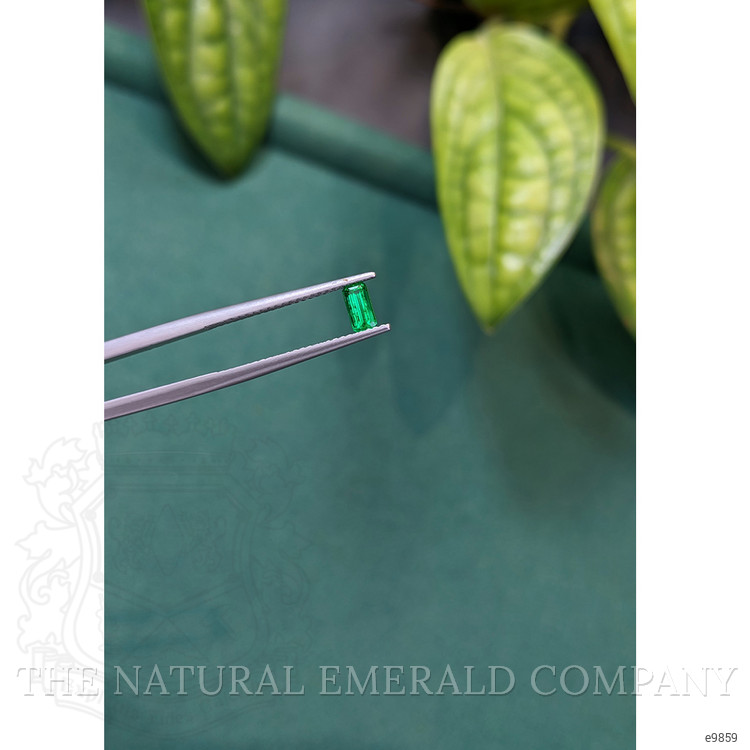 0.31 Ct. Emerald from Russia