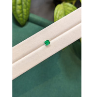 0.48 Ct. Emerald from Russia Life Style