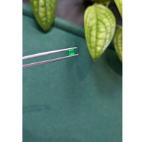 0.48 Ct. Emerald from Russia Life Style