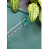 0.51 Ct. Emerald from Russia Life Style