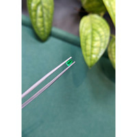 0.23 Ct. Emerald from Russia Life Style