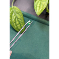 0.72 Ct. Emerald from Russia Life Style
