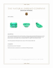 0.94 Ct. Emerald from Russia Appraisal