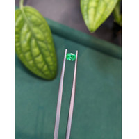 0.46 Ct. Emerald from Russia Life Style