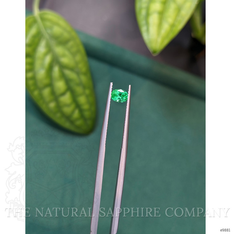 0.46 Ct. Emerald from Russia