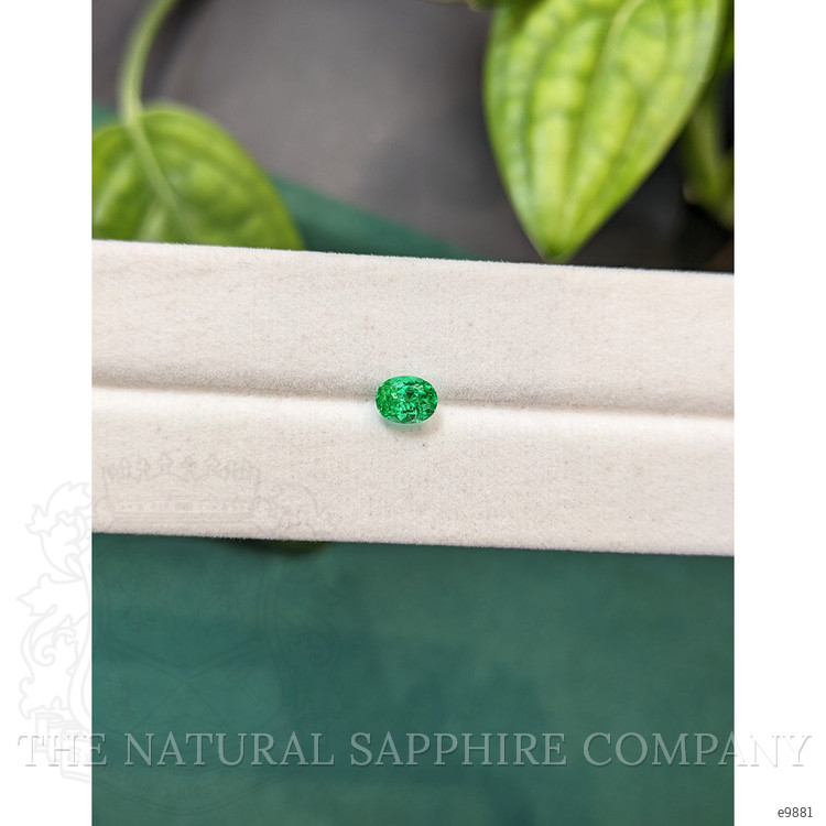 0.46 Ct. Emerald from Russia