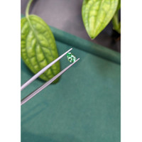 0.65 Ct. Emerald from Russia Life Style