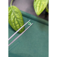 0.52 Ct. Emerald from Russia Life Style