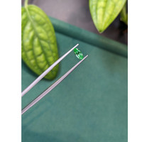 0.55 Ct. Emerald from Russia Life Style