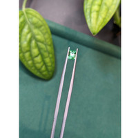 0.84 Ct. Emerald from Russia Life Style
