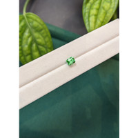 0.84 Ct. Emerald from Russia Life Style