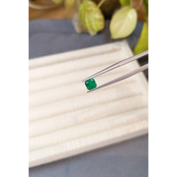 0.83 Ct. Emerald from Russia Life Style