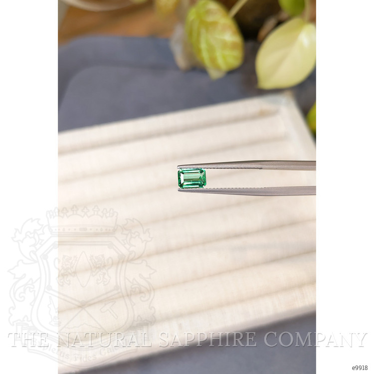 0.83 Ct. Emerald from Russia