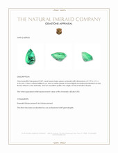 0.87 Ct. Emerald from Russia Appraisal