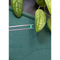 0.89 Ct. Emerald from Russia Life Style