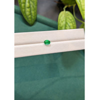 0.80 Ct. Emerald from Russia Life Style