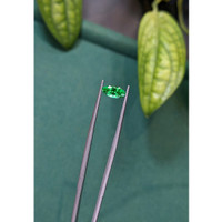 0.80 Ct. Emerald from Russia Life Style